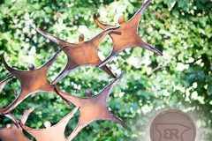 kracht van verwondering3